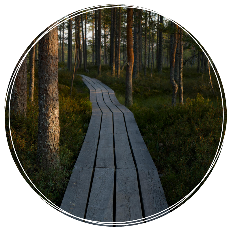 Rond bain foret